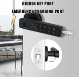 Office Hotel Electronic Biometric Key Security Smart Door Lock Fingerprint Password Door Handle - RaditShop