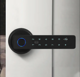 Office Hotel Electronic Biometric Key Security Smart Door Lock Fingerprint Password Door Handle - RaditShop