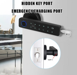 Office Hotel Electronic Biometric Key Security Smart Door Lock Fingerprint Password Door Handle