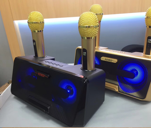 RORA Portable Karaoke speaker system with 2 Wireless Microphone, Bluetooth Karaoke Machine - Sparkmart