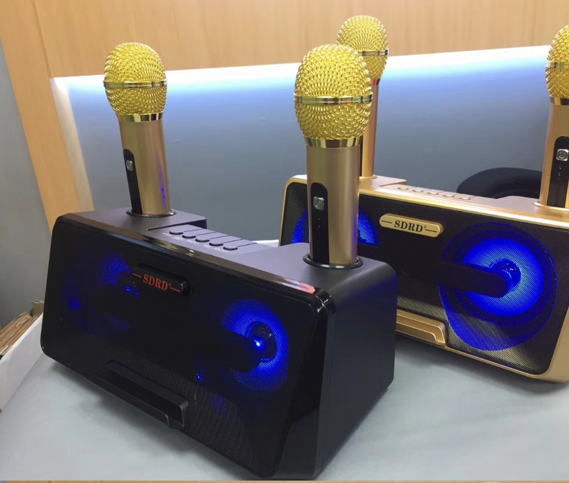 RORA Portable Karaoke speaker system with 2 Wireless Microphone
