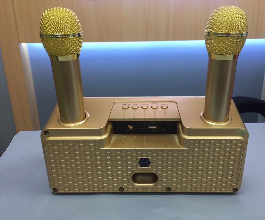 RORA Portable Karaoke speaker system with 2 Wireless Microphone, Bluetooth Karaoke Machine - Sparkmart