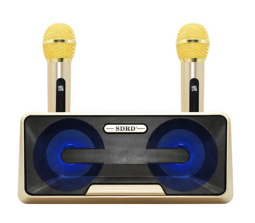 RORA Portable Karaoke speaker system with 2 Wireless Microphone, Bluetooth Karaoke Machine - Sparkmart