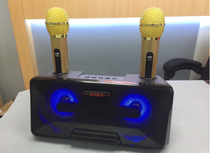 RORA Portable Karaoke speaker system with 2 Wireless Microphone, Bluetooth Karaoke Machine - Sparkmart