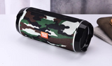 TG117 Bluetooth Outdoor Speaker - RaditShop